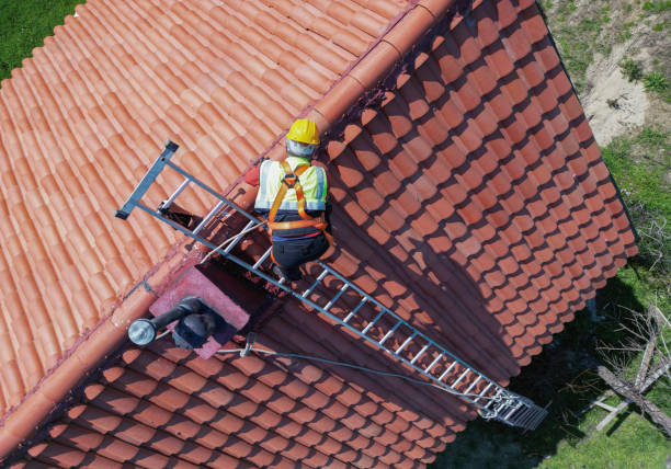 Best Asphalt Shingle Roofing  in China Grove, TX