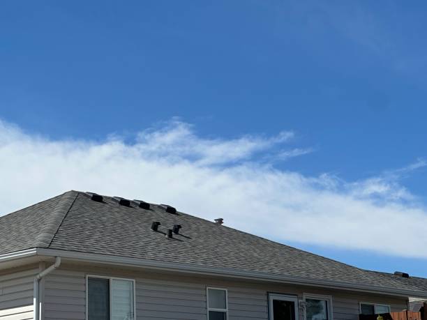 Best Steel Roofing  in China Grove, TX